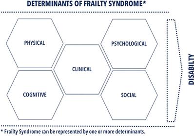 Multidimensional Approach to Frailty